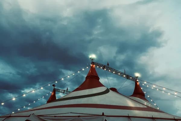 Cirque du Soleil: OVO